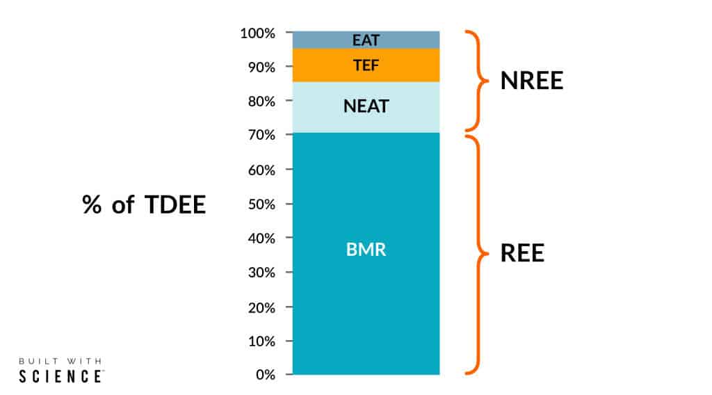 TDEE Macro Calculator