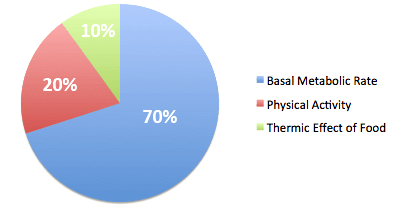 BMR and TDEE Calculator